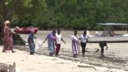 ကင်ညာထုတ် နေရောင်ခြည်စွမ်းအင်သုံး ရေခဲသေတ္တာ
