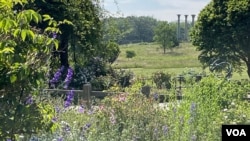 A scenic view at the U.S. National Arboretum in Washington, D.C., June 1, 2023. (VOA)