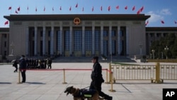 第十四屆中國全國人大二次會議在北京閉幕前，人民大會堂外的警察和警犬。 （2024年3月11日）