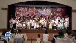 ​ትውልደ ኢትዮጵያውያን ሕፃናት እና አዳጊዎች የዓድዋን ድል ዘከሩ