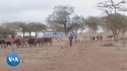 Une technologie de collecte et de recyclage de l’eau pour aider le Kenya à réduire les pénuries