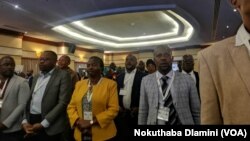 Victoria Falls Transport Summit