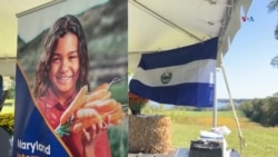 La agricultura latinoamericana despierta interés en EEUU 