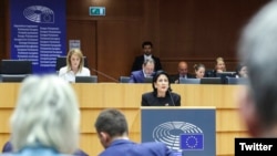 სალომე ზურაბიშვილი ევროპარლამენტარებს, თითქმის 40 წუთის მანძილზე მიმართავდა