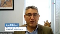 Director ejecutivo de CARECEN: "EL USCIS está llegando al límite"