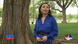 Blyuz musiqasi tarixi - Blues music roots