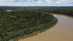 BRASIL: Amazonía Lula