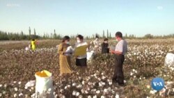 Xalqaro hayot - 26-oktabr, 2022-yil