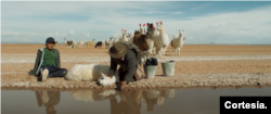 Otra escena de la galardonada película boliviana "Utama".