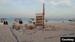 Ambientalistas piden revisar proyecto turístico en isla La Tortuga