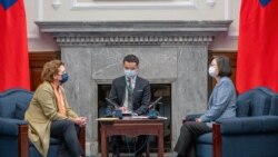 歐洲議會副議長會晤蔡英文總統 強調台灣的未來應由台灣人民決定 