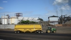 EEUU excluye a Nicaragua de sus importaciones de azúcar en nuevo año fiscal 