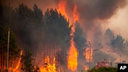 Bomberos combaten un incendio forestal en la región de Gironda, Francia, el 13 de julio de 2022. 