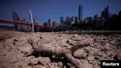 中国重庆段长江因干旱裸露的河床。（2022年8月18日）