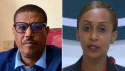 መንግሥትና ህወሓት በሠላም ጥረቱ ላይ እየተወዛገቡ ነው 