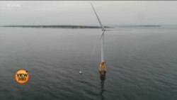 امریکہ: ہوا سے بجلی بنانے کے وسیع منصوبے سے ماہی گیر پریشان