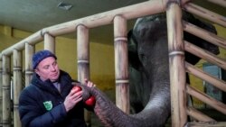 Zoološko-vojna komuna u Kijevu