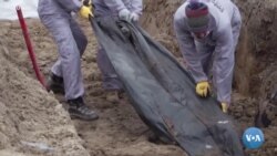 Ukrainada genotsid yoki yo'q? Ekspertlar bahosi