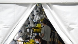 པེ་ཅིང་བ་ས་ཡ་༢༠་ཐམ་པར་ཏོག་དབྱིབས་ནད་དུག་བརྟག་དཔྱད།