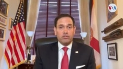 Senador Rubio sobre conversaciones con Venezuela: "El mensaje que está mandando al mundo es que aquí no hay oposición ya". 