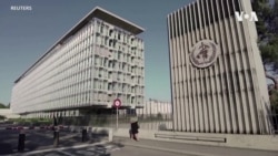 世衛：中國報告沒有發現新的新冠病毒亞變異株，但未能準確說明疫情真相