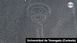 El investigador principal del hallazgo en Nazca aseguró que, en un principio, no pensaban que podrían encontrar más figuras sobre el terreno. [Foto: Cortesía Universidad de Yamagata]