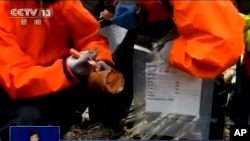 Wafanyakazi wa uokoaji wapata kisanduku cheusi katika ajali ya ndege iliyotokea China.