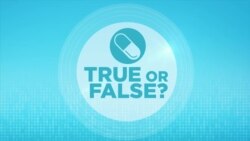 Do houseplants really improve air quality?