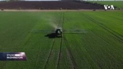 Ukrajinski farmeri: Rad u polju poput ruskog ruleta