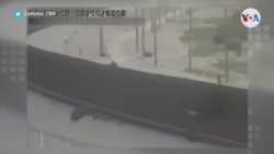 Guadalupe Correa-Cabrera, experta en Tráfico de migrantes