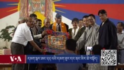 བོད་དམག་ཟུར་པ་དང་ཤུལ་ལུས་ཚོར་ཆེ་བསྟོད།
