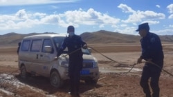 མགོ་ལོག་ཁུལ་དུ་འབྲོག་པའི་རྩྭ་ས་གཞུང་བཞེས།