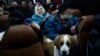 People from Soledar sit inside a bus as they wait to be registered and take up temporary accommodation somewhere near Shakhtarsk, in Russian-controlled Donetsk region, eastern Ukraine, Jan. 13, 2023.