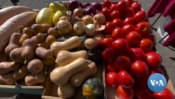 Dehqonlarga yordam berayotgan mobil ilova