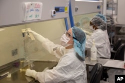 Technicians add cells to media that will be used to add cells to the organs growing in bioreactors in a Micromatrix laboratory on Tuesday, Dec. 8, 2022, in Eden Prairie, Minn. (AP Photo/Andy Clayton-King)
