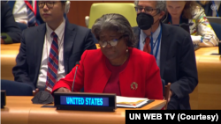 美國常駐聯合國代表托馬斯-格林菲爾德在聯合國發言（2022年12月14日）