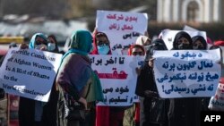 پیش از این نیز اتحادیۀ اروپا از نقض سیستماتیک حقوق بشر توسط طالبان در افغانستان اظهار نگرانی کرده بود.