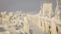 Mas de 100 millones de personas se ven afectadas en EEUU por el temporal ártico que recorre el país