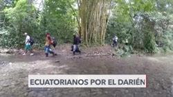 Alerta por aumento de ecuatorianos por el Darién en ruta a EEUU