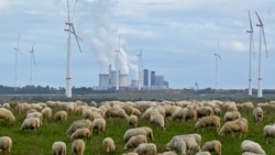 གནམ་གཤིས་འགྱུར་ལྡོག་ཡོང་གི་ཡོད་པ་དག་མིས་བཟོས་པ་ཇི་ལྟར་ཤེས། 