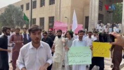 د پېښور زرعي پوهنتون زده کوونکو د سوات د وروستیو ناامنیو په خلاف احتجاج کړی دی