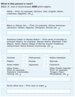 Section of 2020 U.S. Census form on White heritage
