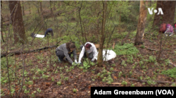 Earth Day Angst - Young People, Sense of Urgency and Hopelessness