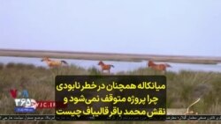 میانکاله همچنان در خطر نابودی؛ چرا پروژه متوقف نمی‌شود و نقش محمد باقر قالیباف چیست