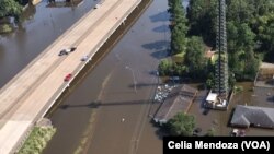 Затоплені будинки в Г'юстоні після урагану "Гарві"