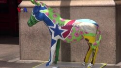 Berburu Keledai Demokrat