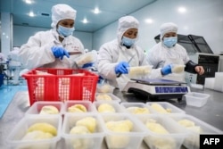 Workers package frozen durian at a food factory in Hangzhou, in China's eastern Zhejiang province on February 3, 2023.