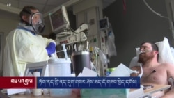 ཏོག་ནད་ཀྱི་ནད་དུག་གསར་ཤོས་ཐད་དོ་གཟབ་བྱེད་དགོས། 