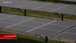 Mỹ điều tra chống bán phá giá đối với tấm pin mặt trời từ Việt Nam