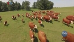 Студія Вашингтон. Зустріч Байдена і Зеленського у Глазго - головне